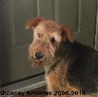 Quincey Knowles 2006-2015
